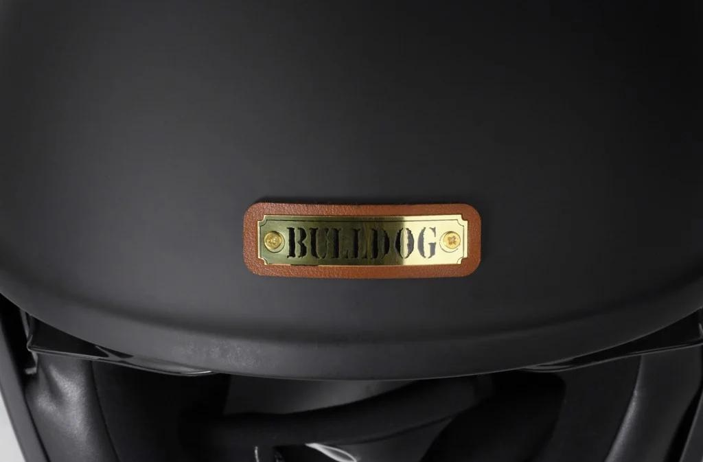 Bulldog Beagle Chinh Hang (3)