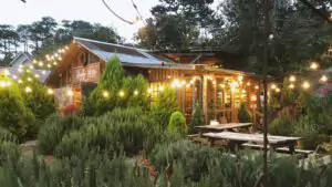 Cafe Tui Mo To Da Lat 2
